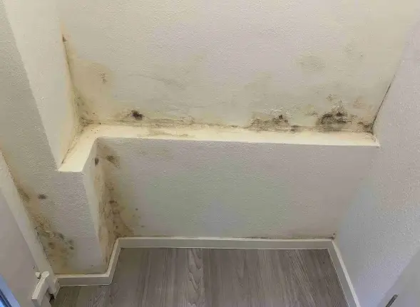 Vorher – feuchte Wand mit Schimmel